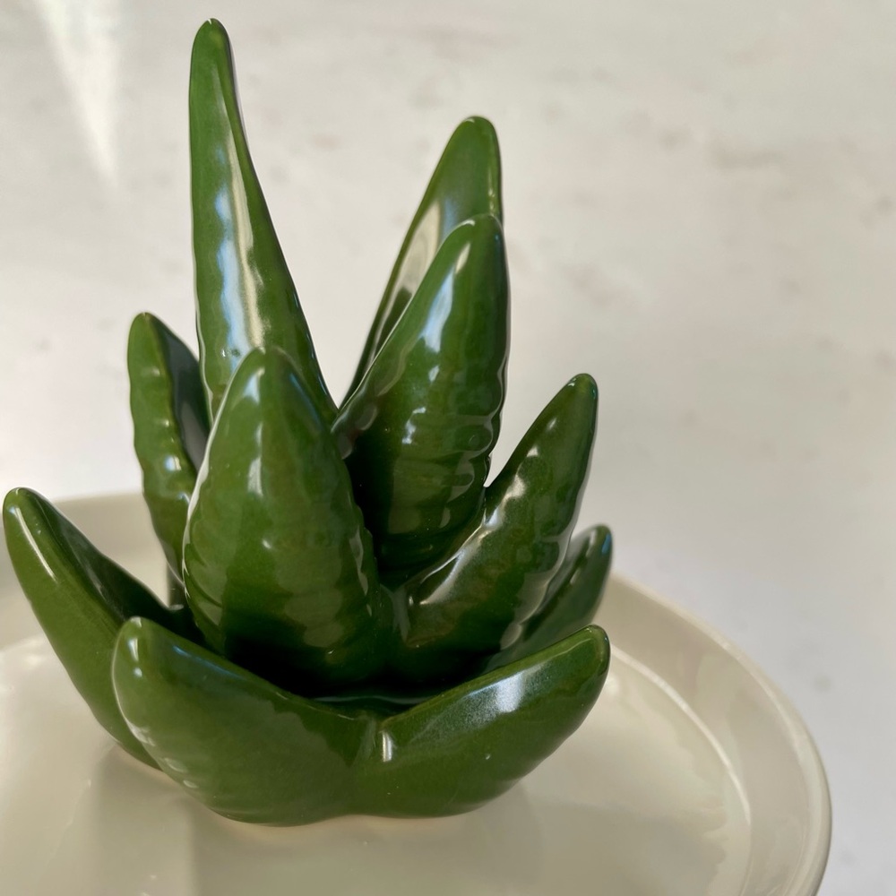 Cactus Ring Holder - Picture 8 of 10